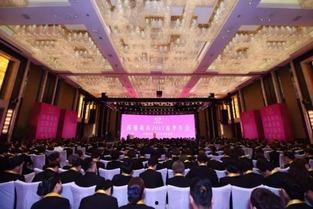莎蔓莉莎董事长最新爆料,企业转型背后的故事与挑战
