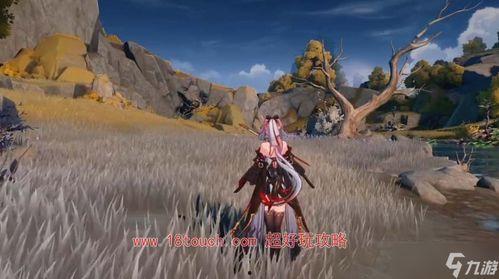 鸣潮内部爆料最新,揭秘游戏背后不为人知的秘密与内幕