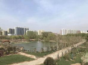 西安新城最新爆料,揭秘神秘项目背后的故事