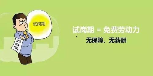 hr最新爆料,揭秘职场潜规则与真实内幕