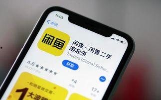 闲鱼之王最新爆料,揭秘电商巨头背后的惊人秘密！