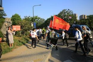 开封高三爆料事件最新,揭秘校园内幕，真相背后引关注